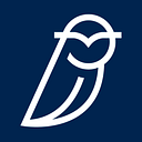 Blue Owl Capital Holdings