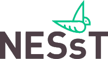 NESsT Inc