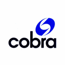 Cobra Instalaciones Y Servicios Sucursal S.A