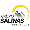 Grupo Salinas